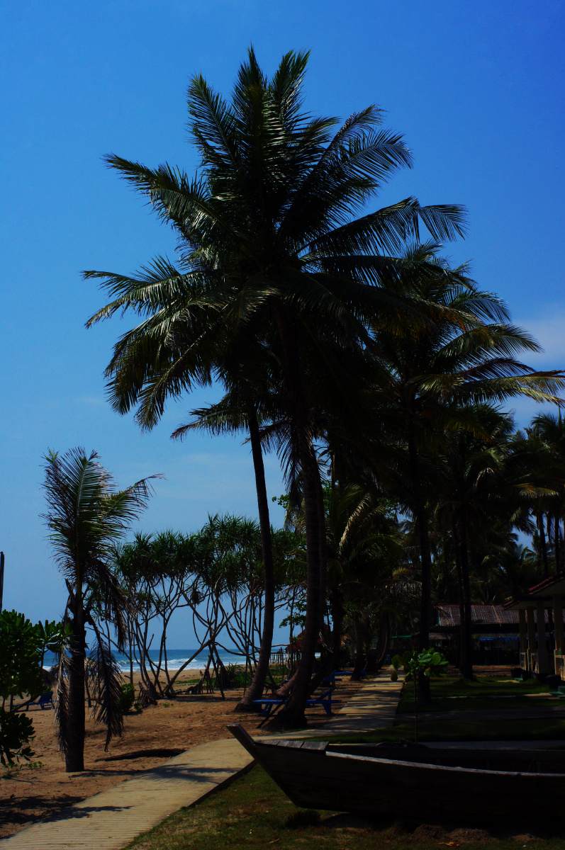 缅甸之夏-5.18 维桑(ngwe saung beach)-初抵安达曼海