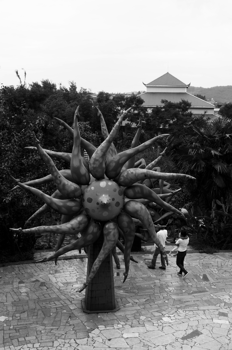 罗旭土著巢里的雕塑