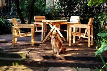 11.小聪