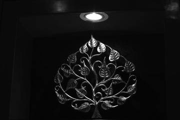 金树叶(BW)