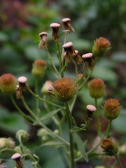 PICT0017