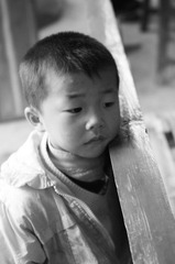 忧伤地小苗子.JPG