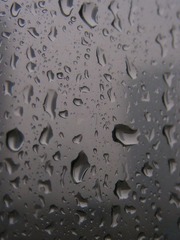雨