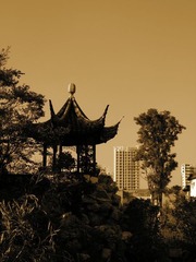 莲花池 5