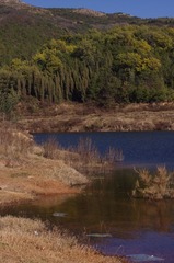 山、林、水及塑料袋=风景