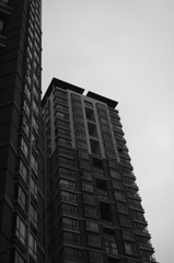 楼