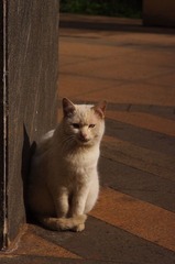看什么看
