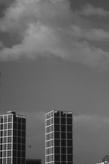 新楼