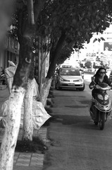 白塔路