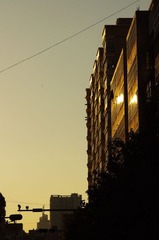 曙光小区夕阳下的楼房