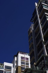 楼 1