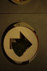舔