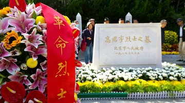 张智4