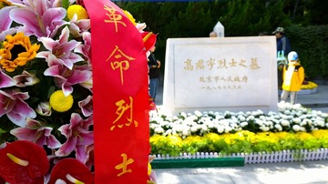 张智2