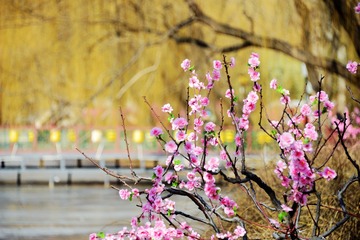 火花四溅