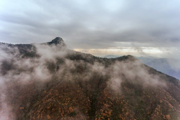 DJI_0708