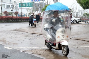 孙丽媛-雨后