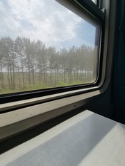 34462