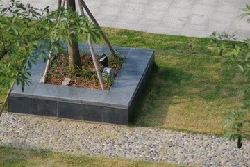 IMGP0004.jpg