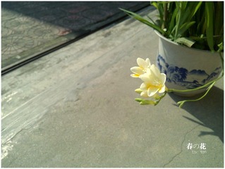 IMG_20120327_084858.jpg