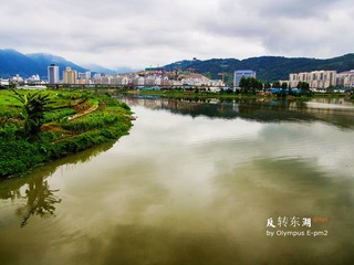 C6030102.jpg