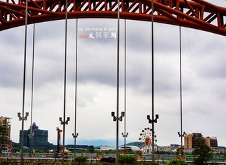 C6030111.jpg