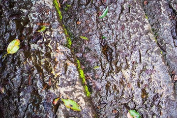 C6090209.jpg