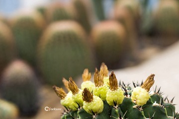 C3085338_1
