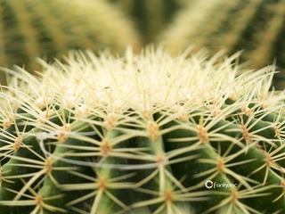 C3085344_1
