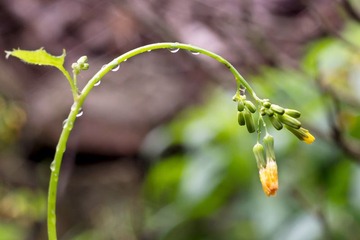 C3135670_1