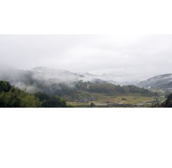 C4258565