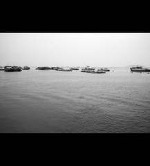 C4036339_