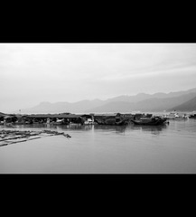 C4036344_