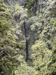 AA005D86-A6D9-44F1-8443-A3C45A8A194A/L0/001