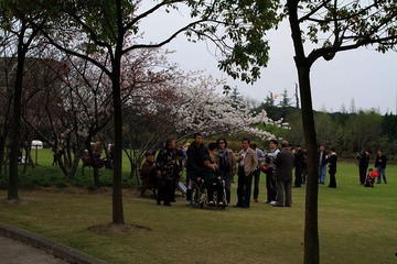 DP1451000.JPG