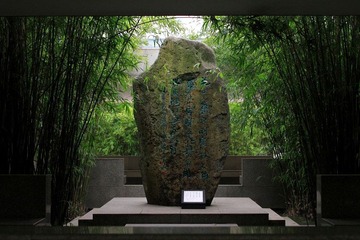 DP1451018.JPG
