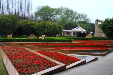 DP1451019.JPG