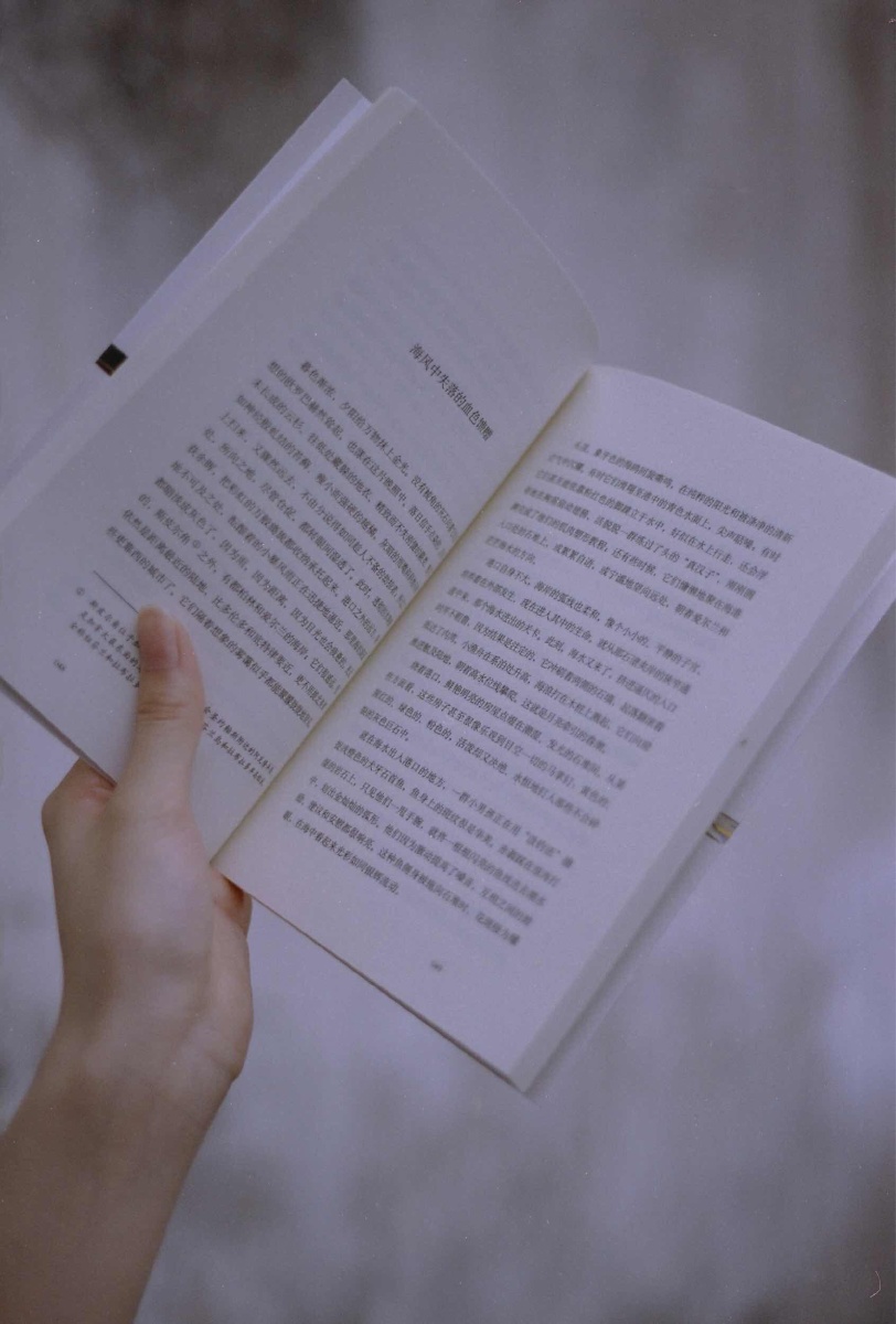 海风中失落的血色馈赠