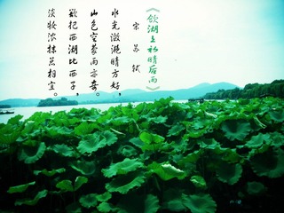 DSC02673去.jpg