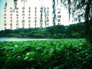 DSC02684额1.jpg