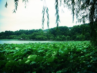 DSC02684额.jpg