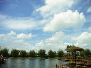 DSC01912.jpg