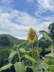 CB9BC4FA-A3A4-4DFC-A419-E32136AFB98E/L0/001
