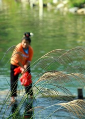 IMG_8318.JPG