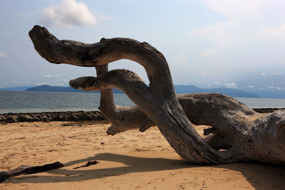 海边<br />
海边