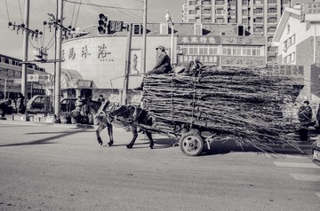 集市上骡车