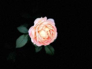 CB20B94E-8C82-4FDB-B22D-E8B0E0C174D4/L0/001