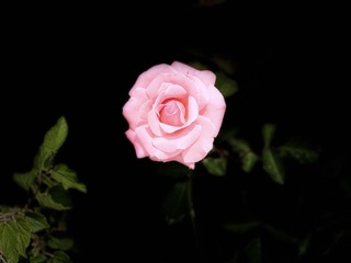7F54549C-072F-48BF-850B-8C9C2AC44DC8/L0/001