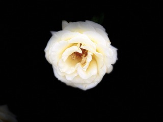 511AA056-07E6-4B6E-B6DC-C0887DA266B5/L0/001