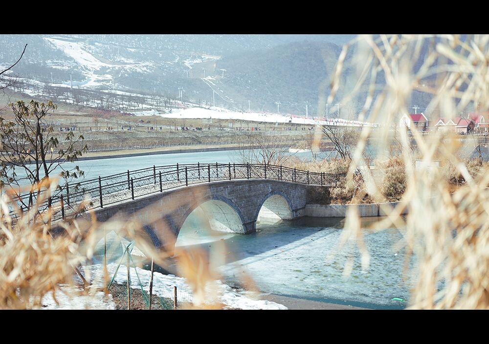 西岭